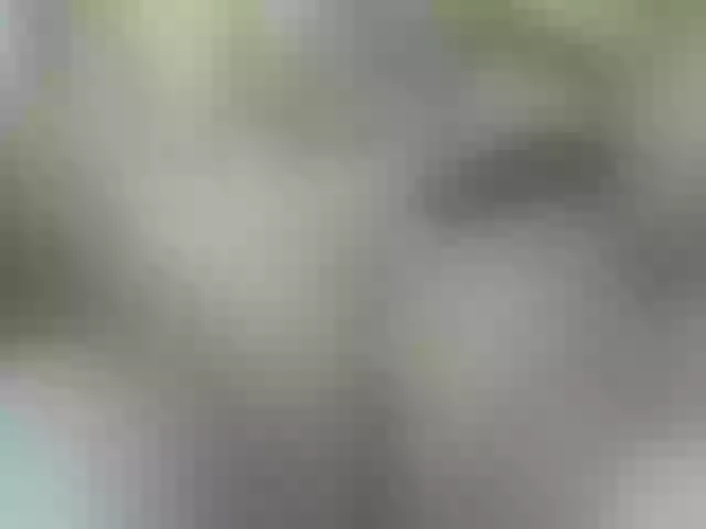 Live sex webcam photo for Mssbombom_ #254034040