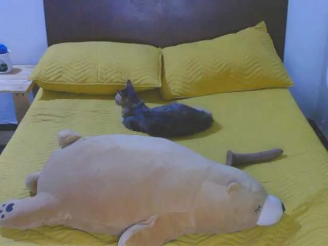 Live sex webcam photo for Laazulyy #241404750