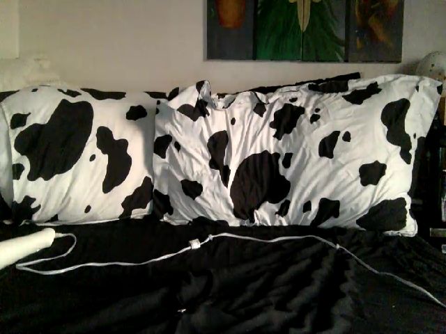 Live sex webcam photo for Ynigma #263466160