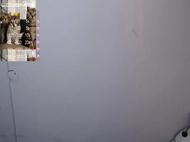 Live sex webcam photo for Cat_apple #254307149