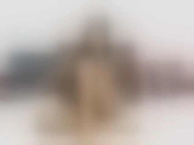 Live sex webcam photo for Kaly2019 #250071868