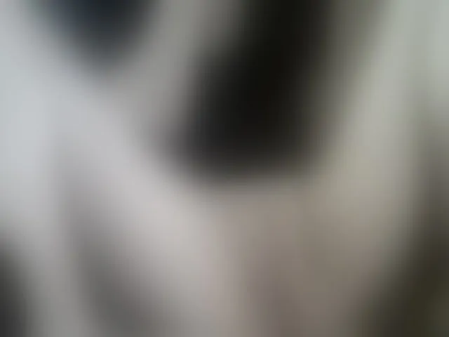 Live sex webcam photo for REPTILIAY #244442567