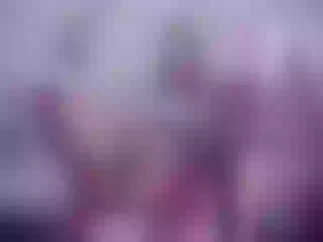 Live sex webcam photo for SexyAshley2x #254389661