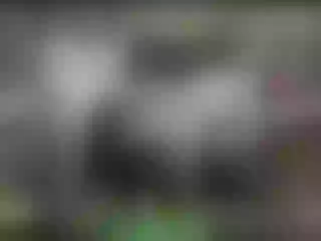 Live sex webcam photo for alisablond #249786143