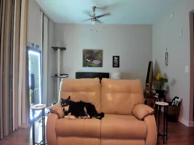 Live sex webcam photo for Belphoebe #252734134