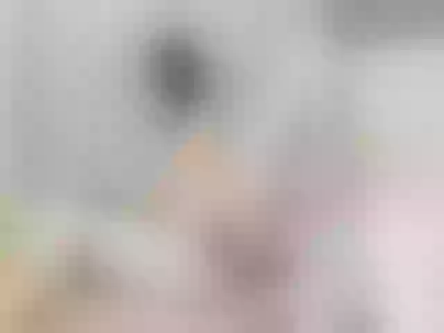 Live sex webcam photo for MiaWonn #259554395