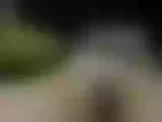 Live sex webcam photo for Rosee- #240833209