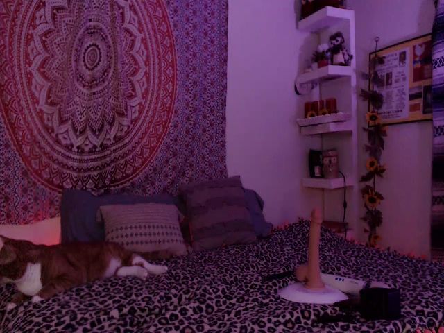 Live sex webcam photo for Missdankkitty #263583581