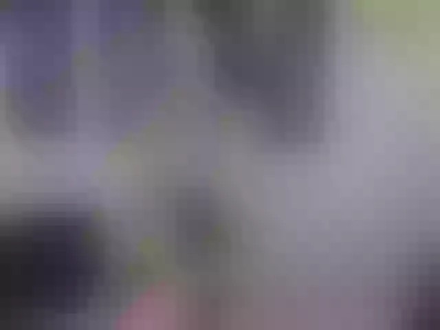 Live sex webcam photo for Ddboubou #253389705