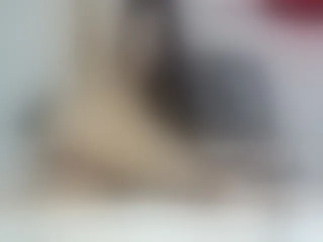 Live sex webcam photo for AimeeSumers #252963128