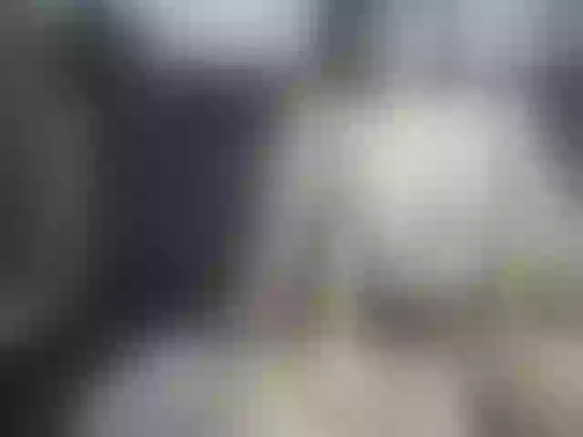 Live sex webcam photo for cosmicwitch #242974394