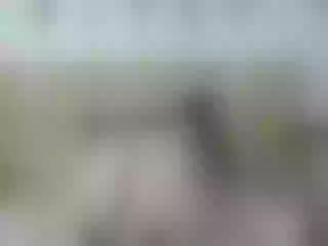 Live sex webcam photo for Mssburbuja #259086933