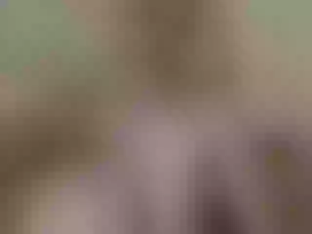 Live sex webcam photo for JolyBoss #253516567