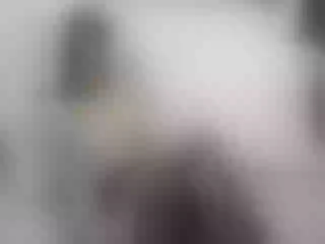 Live sex webcam photo for KammyJoe #255202140