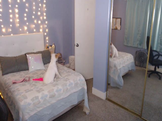 Live sex webcam photo for Hollydollxo #262540759