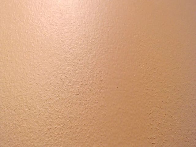 Live sex webcam photo for Gracie #262383266