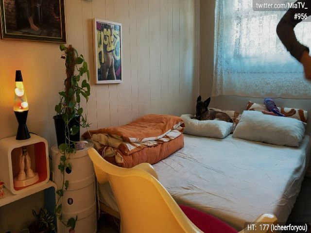 Live sex webcam photo for miatv #255846094