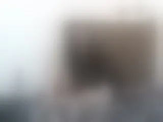 Live sex webcam photo for girasol-walto #240817072