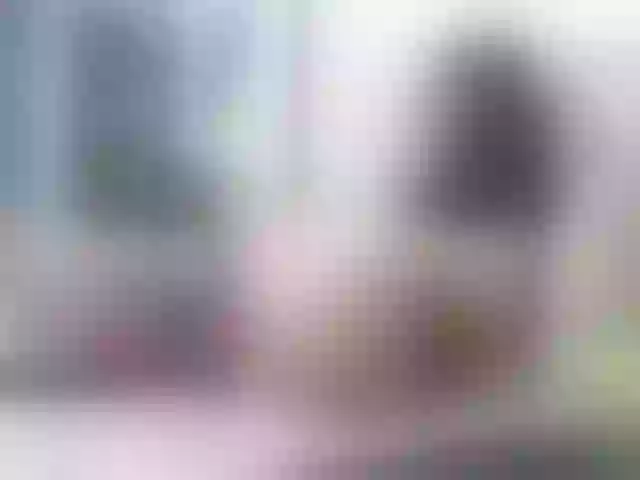 Live sex webcam photo for Vikibru #241150635