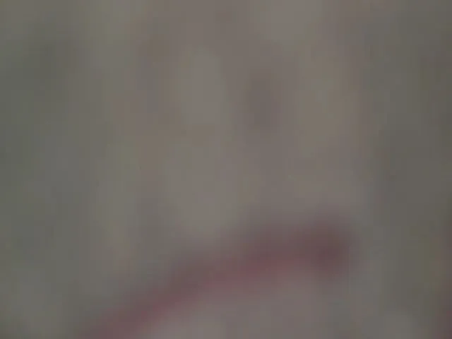 Live sex webcam photo for JolyBoss #253749965