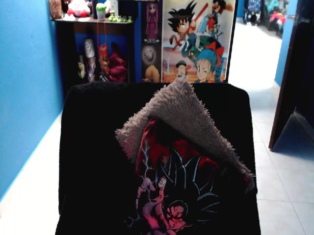 Live sex webcam photo for umaru_michae #258218576