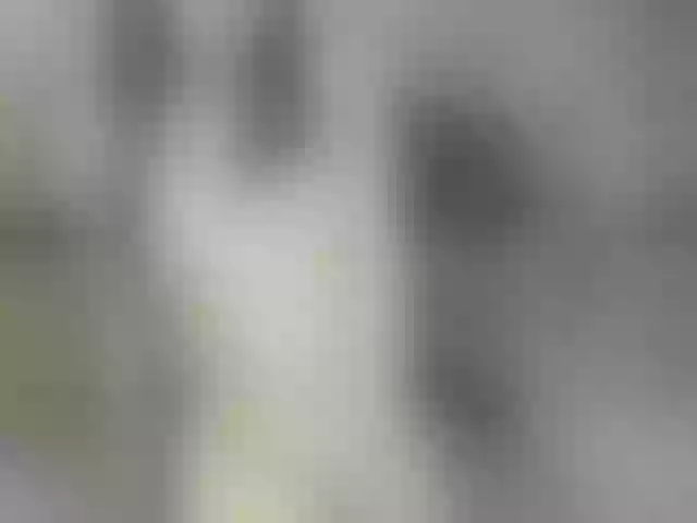 Live sex webcam photo for -Lorik- #240901975