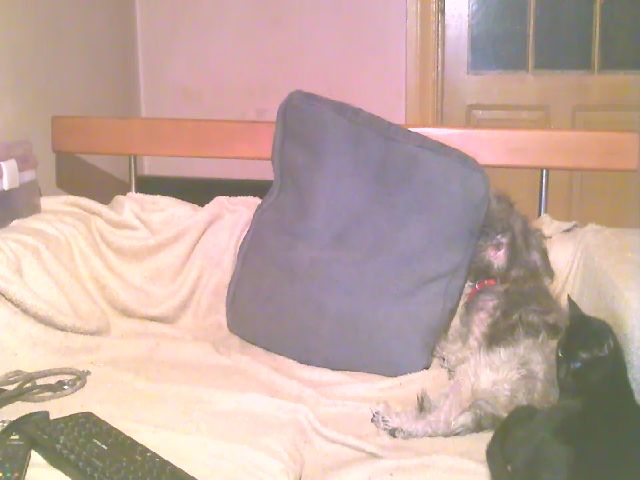 Live sex webcam photo for Lili_Mari69 #256640639