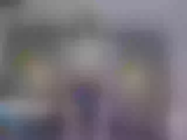Live sex webcam photo for Miia_cox #256006586