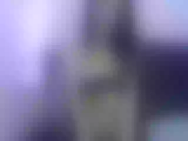 Live sex webcam photo for santopeligro #262737187