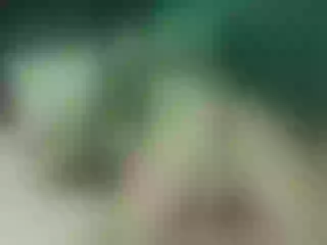 Live sex webcam photo for Alexajoyy #252294701