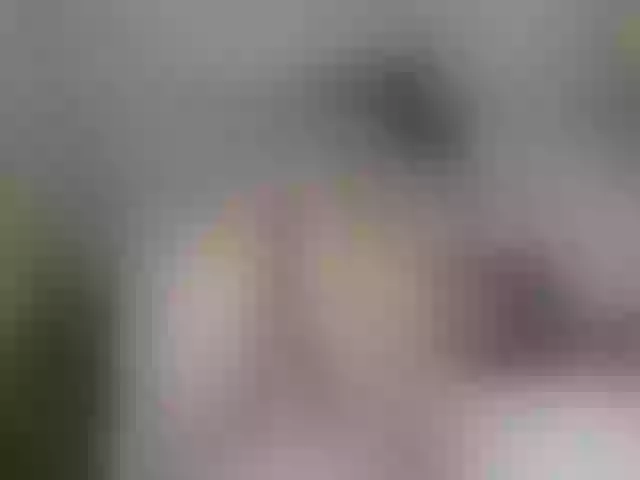 Live sex webcam photo for Hannah_tv #253148303
