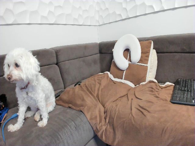 Live sex webcam photo for SecretDesire0 #263870208