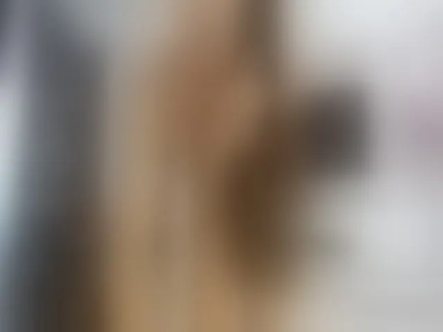 Live sex webcam photo for Miss_Emm #255677843