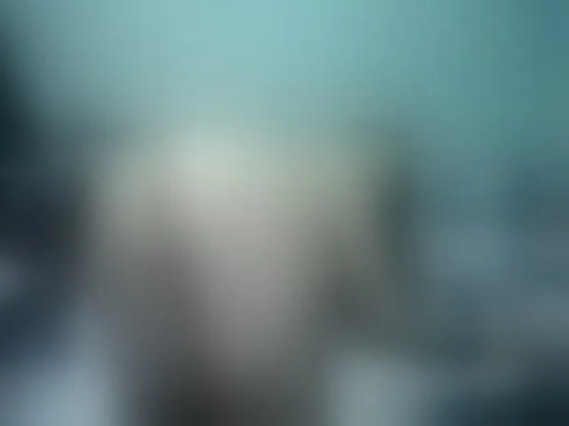 Live sex webcam photo for Girlhornyx20 #254309764