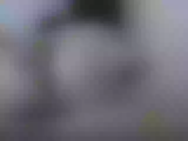 Live sex webcam photo for pamelaa123 #241404014