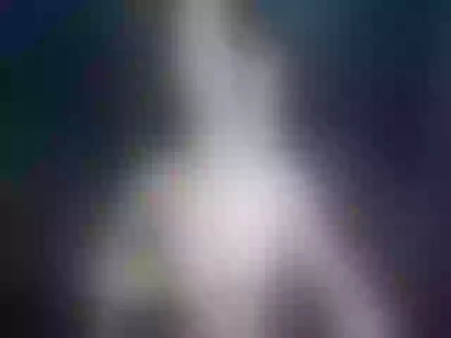 Live sex webcam photo for KateGreen #263594776
