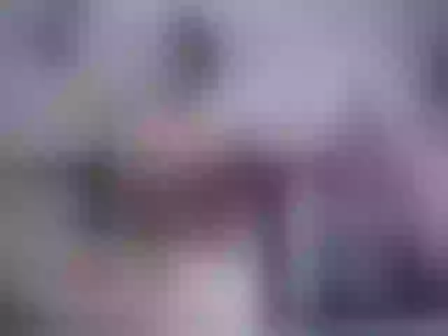 Live sex webcam photo for SexyAshley2x #253397216