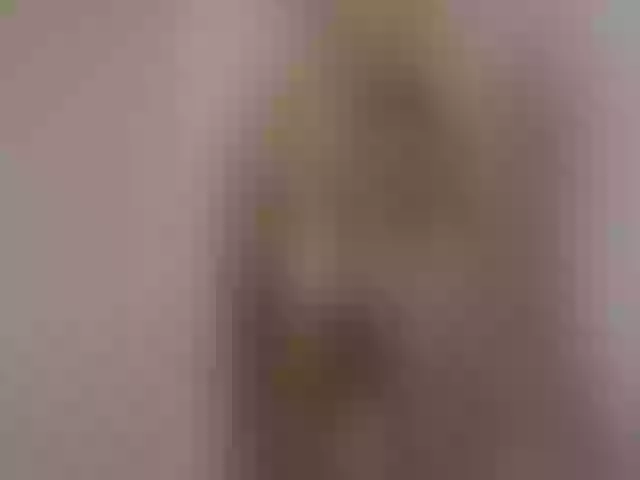 Live sex webcam photo for dreamyriri #260418326