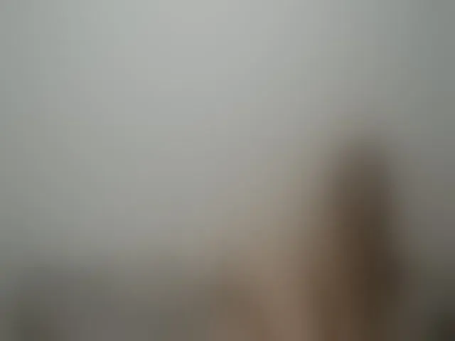 Live sex webcam photo for WildLadyHawke #252568523