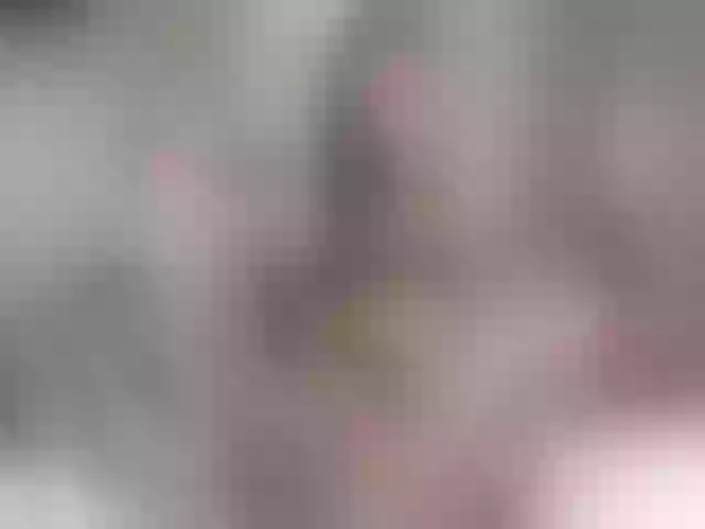 Live sex webcam photo for B3llaSwannie #253313877