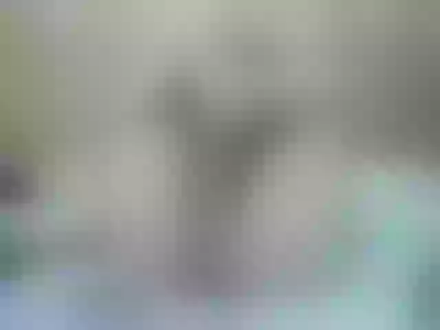 Live sex webcam photo for Mssburbuja #254036202
