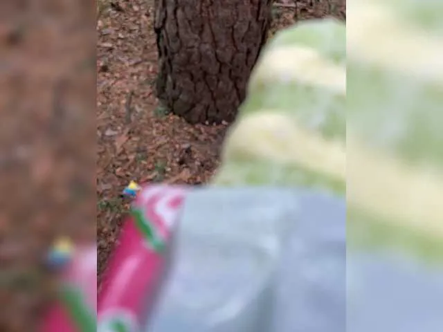 Live sex webcam photo for Kisa-Gav #259246822