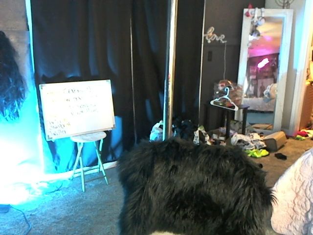 Live sex webcam photo for KendalHaze #258373907