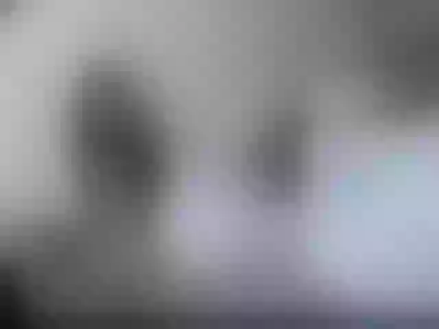 Live sex webcam photo for Rexxa-flower #252138781