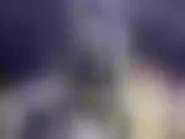 Live sex webcam photo for AnyaFox #254760022
