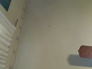 Live sex webcam photo for Prurient-Gem #240519426