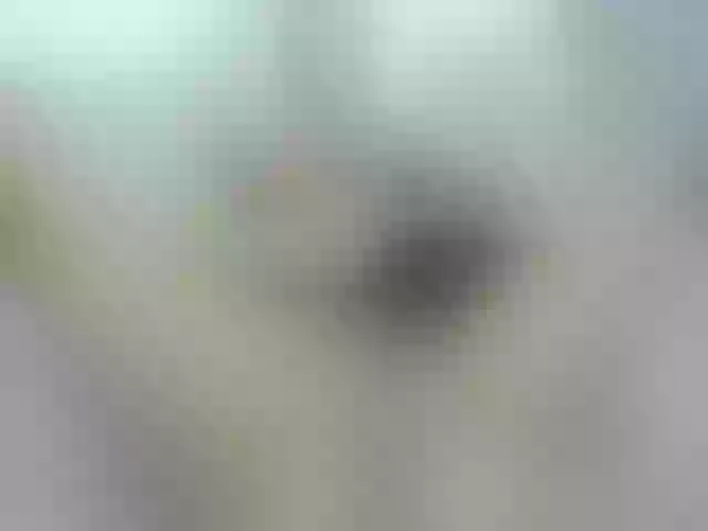 Live sex webcam photo for EVAXROSE #253924133