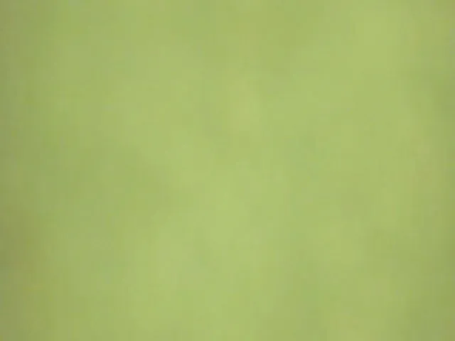 Live sex webcam photo for A11yson #257149758