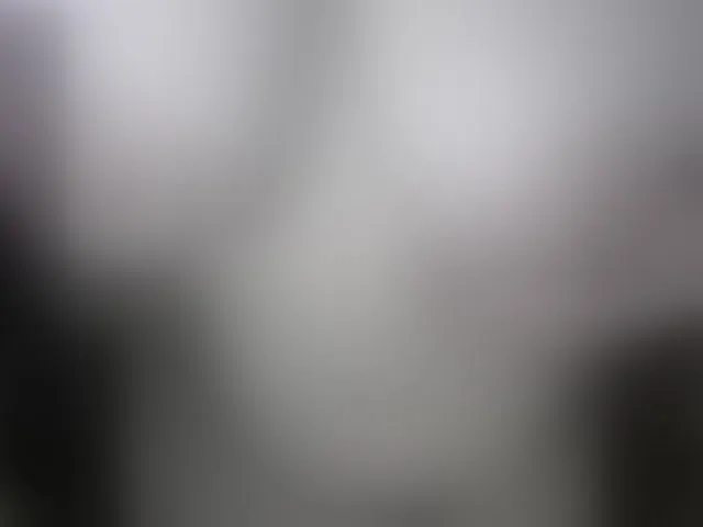 Live sex webcam photo for reis245 #241068168