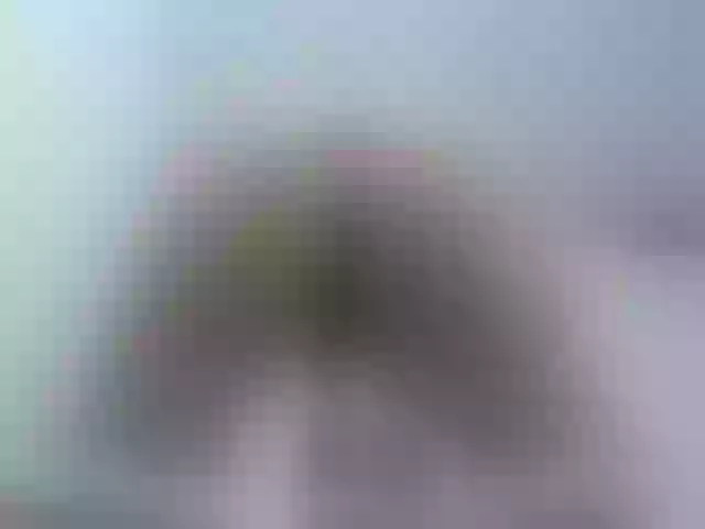 Live sex webcam photo for AlexisJewel #264182692